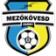 Football club Mezokovesd SE
