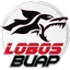 Lobos de la BUAP