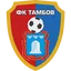 Football club Tambov