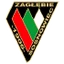 Football club Zaglebie Sosnowiec