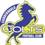 Cumbernauld Colts