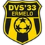 DVS 33