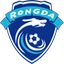 Football club Baoding Yingli Yitong