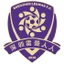 Shenzhen Ledman