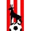 FC Hergiswil
