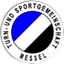 Football club TSG Messel