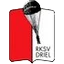 Football club RKSV Driel