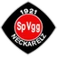Football club SpVgg Neckarelz