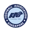 Football club Singapore Select XI