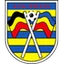 Football club Wellen