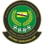 Football club Brunei