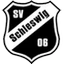 Football club Schleswiger SV