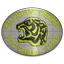 Kildrum Tigers