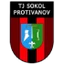 Football club Sokol Protivanov