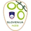 Slovenia U19