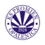 Football club Promien Opalenica