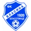 Football club Vlasina