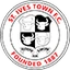 St. Ives Town FC