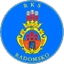 Football club Radomsko