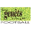 Football club Genets Anglet