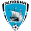 Football club Zhlobin
