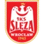 Football club Sleza Wroclaw