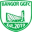 Football club Bangor Greenhills Greenpark