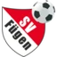 SV Fuegen
