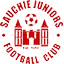 Sauchie Juniors