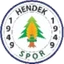 Football club Hendekspor