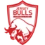 Jersey Bulls