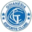 Goianesia